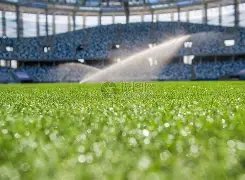 热刺,横扫诺维奇,凯恩,好博,HaoBo,好博注册网址,好博app,好博官网,好博网站,好博下载